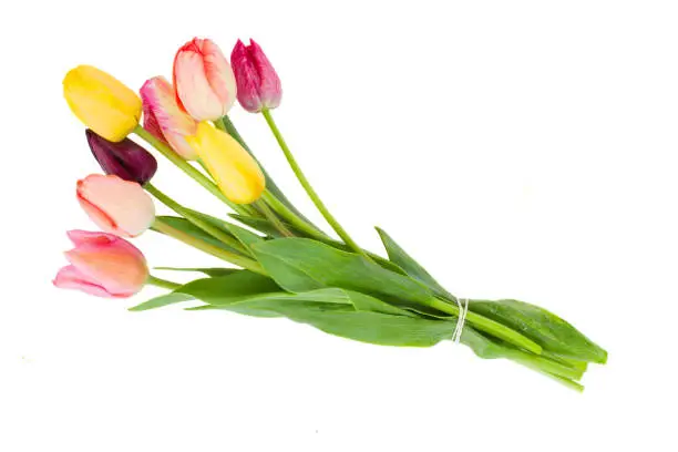 Photo of Posy of tulips flowers