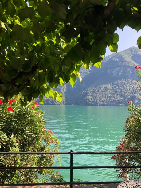istock Italian Lakes Lake Lugano 1294031266