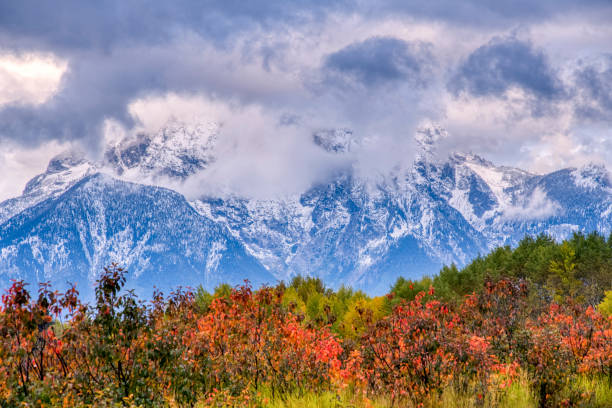 Autumn scenery, Grand Teton National Park, Wyoming, USA