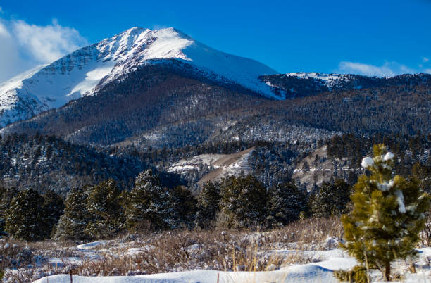 istock Snowy Blood of Christ Mountains 1294032131