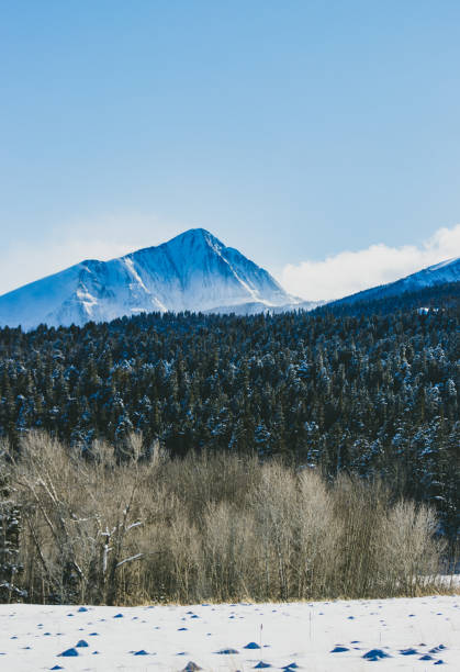istock Snowy Blood of Christ Mountains 1294032296