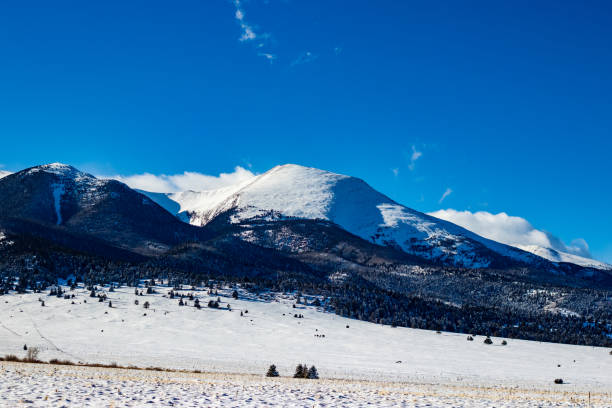 istock Snowy Blood of Christ Mountains 1294033124