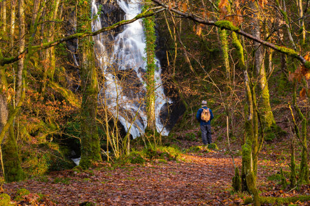 un uomo che guarda una cascata mentre si trova da solo in una zona di bosco scozzese - galloway foto e immagini stock