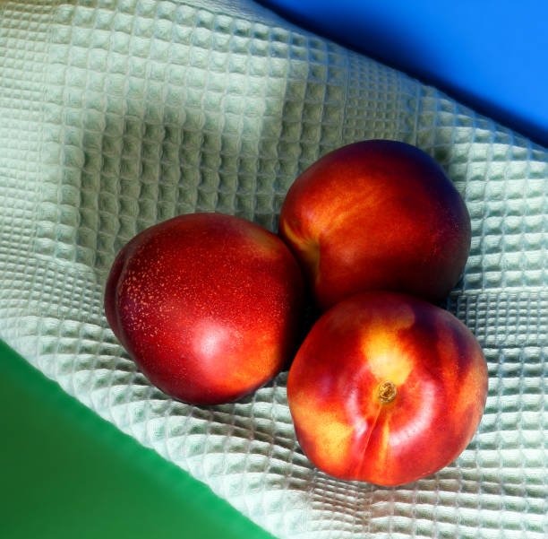 Three nectarines next to a towel on a green and blue background. Shadow in the form of a heart.