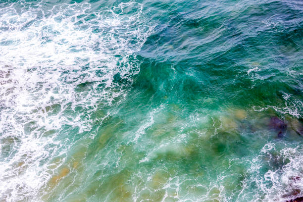 istock Arial view of waves breaking onto a rocky coastline, background with copy space 1294040299