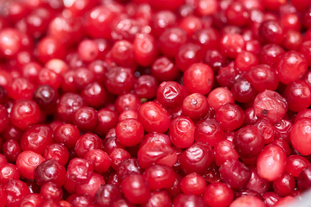 istock Red cranberry background . Wild cranbberies close-up shot 1294040335