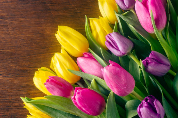 istock Colorful tulips on a wooden background 1294040483