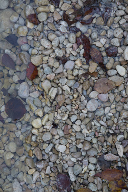 istock A path of large stones with fallen autumn leaves. Natural background for inserting text 1294041175