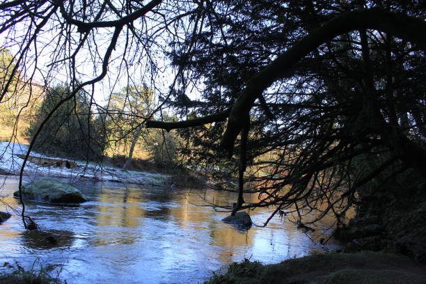 istock River in snowy days with sun 1294043370