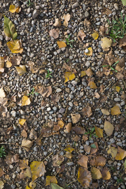 istock A path of large stones with fallen autumn leaves. Natural background for inserting text 1294044120