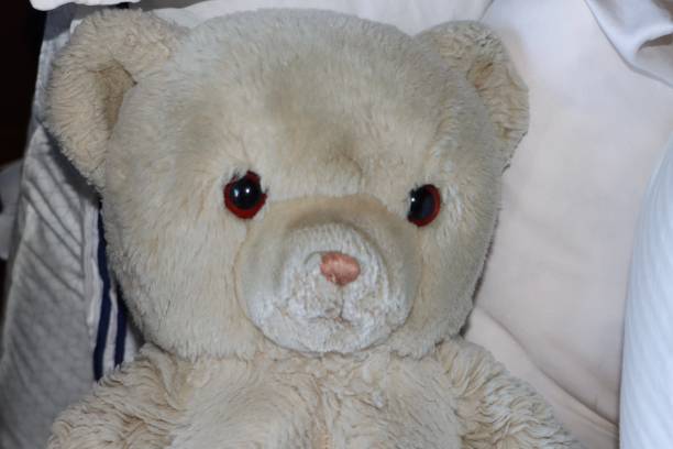 istock A well-loved teddy bear stuffed animal 1294045367