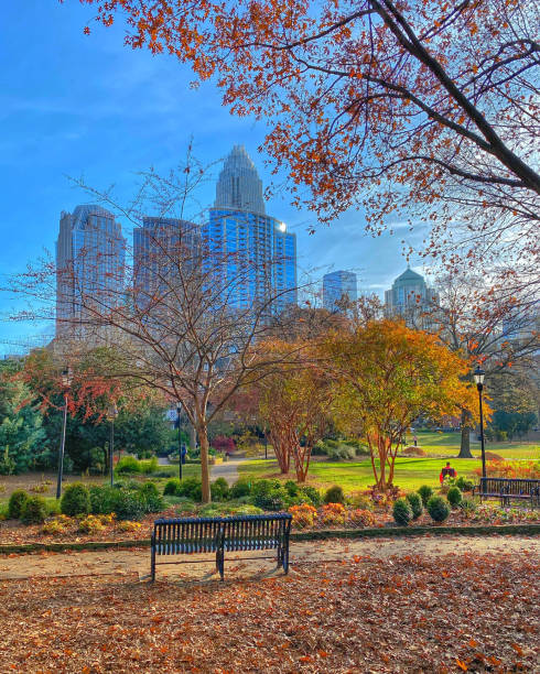 istock Autumn in a park overlooking the skyline 1294045949
