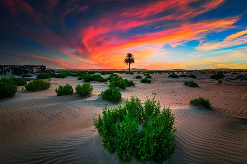 Hermoso amanecer del desierto en el desierto de Al Hufuf Arabia Saudita. photo