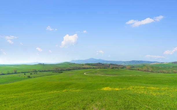 istock Green grassland under the blue sky 1294053263