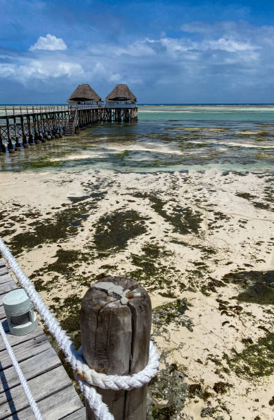 istock Melia Zanzibar pier on low tide. Blue sky 1294053287
