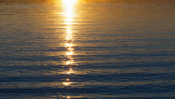 istock Beautiful sunset; shining water; water wave texture 1294053343