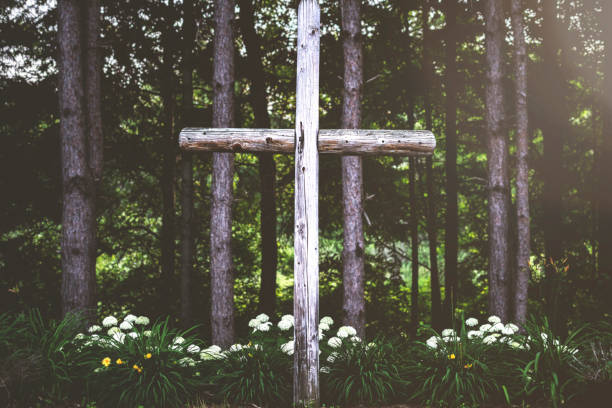 Large wooden structure, cross which appears to be made from a fallen tree and foreground to a sunlit forest.