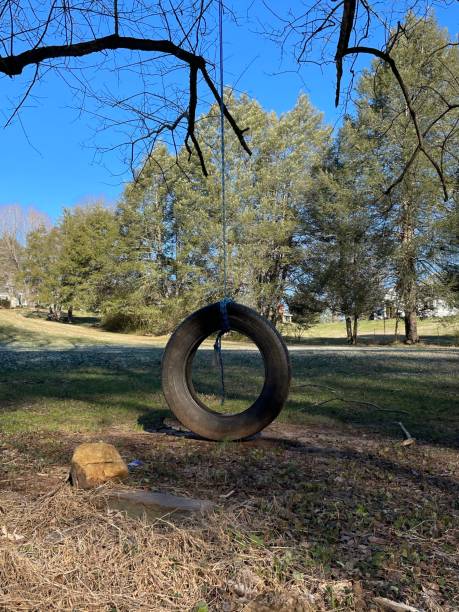 swing pneumatici soleggiati - freedom tire swing tire swing foto e immagini stock