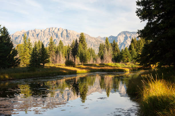 Scenic landscape at Schwabachers Landing, Grand Teton National Park, Wyoming, USA