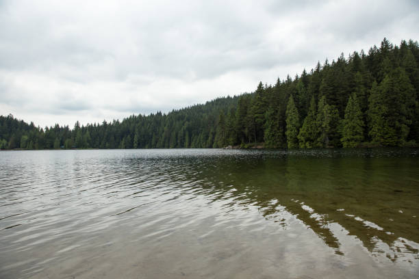 istock Cloudy day at Buntzen Lake in British Columbia, Canada 1294058484