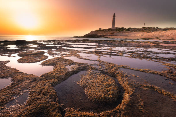 View from Trafalgar lighthouse at Cadiz province in Spain.