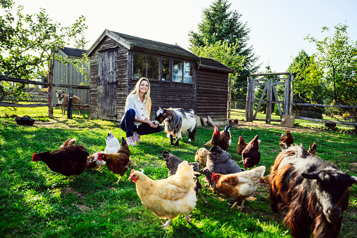 Caucasian woman wearing casual clothing smiling at camera while crouching in grassy enclosure surrounded by grazing bantam and brahma chickens and goats.