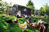 Smiling woman in early 20s caring for goats and chickens