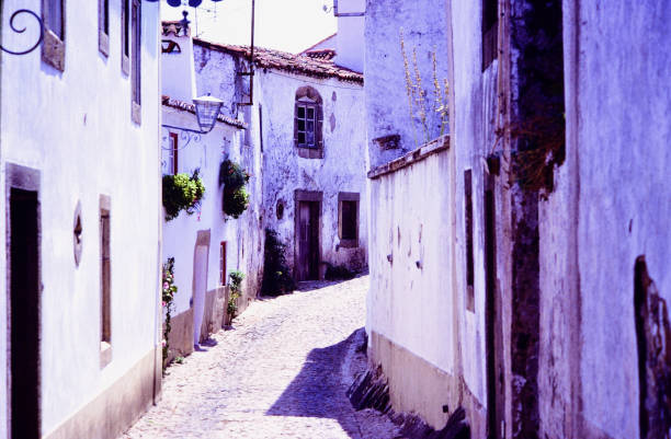 istock Obidos, Portugal 1294063529