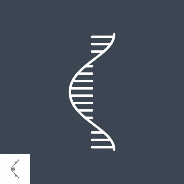 RNA related vector thin line icon RNA related vector thin line icon. Isolated on black background. Editable stroke. Vector illustration. rna stock illustrations
