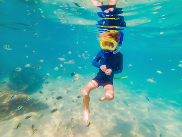 istock Underwater nature study, boy snorkeling in clear blue sea 1294070658