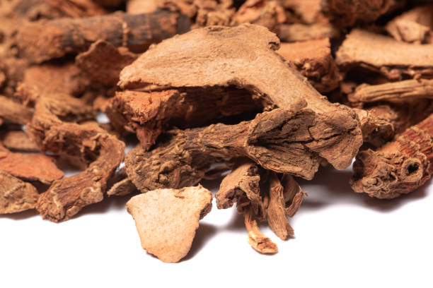 istock Lesser galangal heap on white background 1294078882