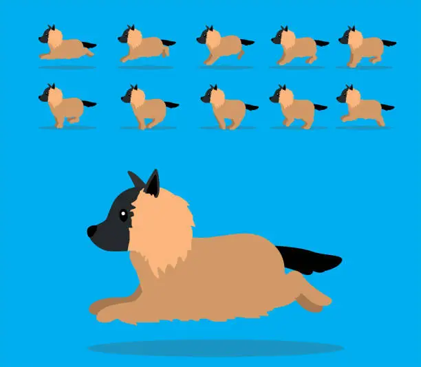 Vector illustration of Animal Animation Sequence Dog Tervuren Cartoon