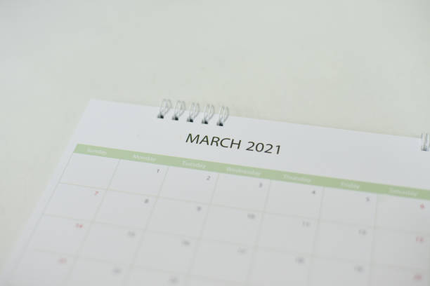 istock Calendar 2021 in planning concept. 1294080394