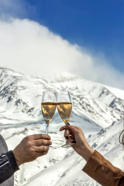 istock Toasting with sparkling wine on the snowy mountain. 1294082638