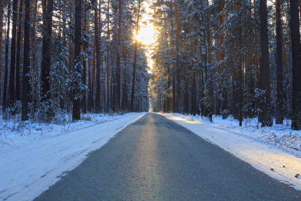 istock Road in the winter forest 1294089362