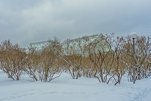 Moscow/ Russia - 13 January, 28, 2017: a main Botanical Garden of the Russian Academy of Sciences named after N. Tsitsin. The new stock greenhouse in winter day.