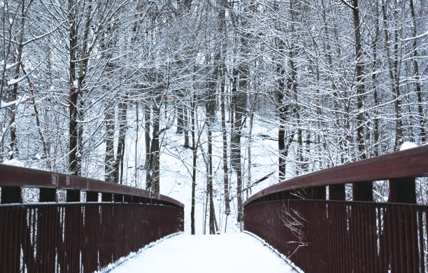 istock A Snowy Scene in a Toronto Park 1294094966