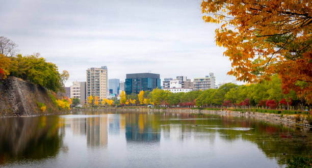 istock Photography of Japan 1294096372