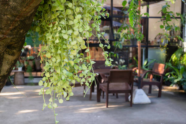 istock Beautiful summer green garden minimal style 1294097108