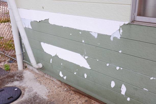 istock Walls with peeling paint 1294103008