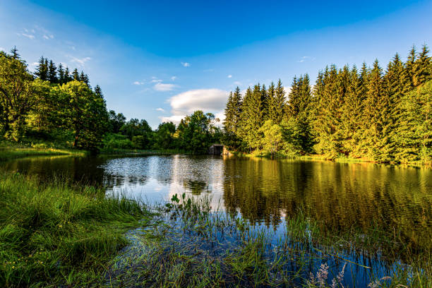 istock Mountain lake, Romania 1294106107