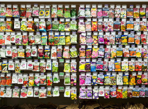 Voronezh, Russia - February 2020, 29: Showcase with plant seeds in a gardening store 