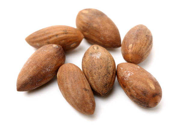 istock Torreya grandis seeds nut 1294108032