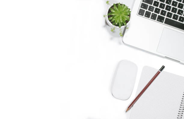 istock Potted plant, laptop, mouse, notebook, and pen lying flat on white desk, copy space 1294110689