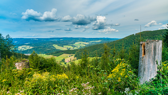 Germany, Schwarzwald, Green tree covered mountains and valleys of elztal, aerial view above from a hiking trail in summer with clouds on sunny day