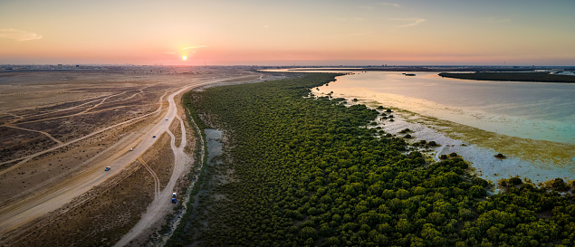 Sunset over Mangrove beach and forest in the desert of Umm al Quwain emirate of the United Arab Emirates. Panoramic aerial landscape with contrast between the sand and the water