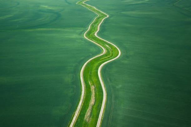 istock Aerial View On Green Field 1294119137