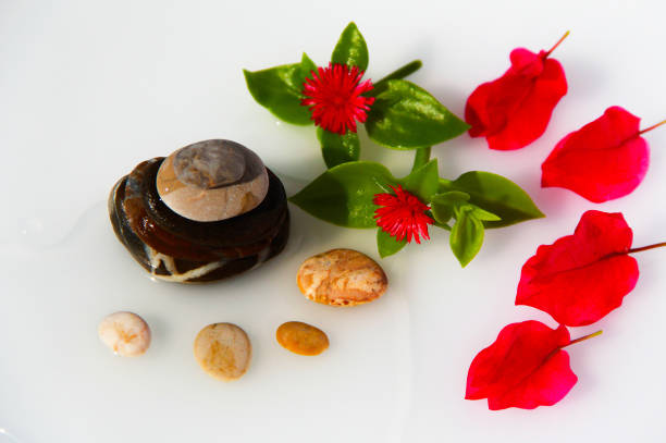 One tropical flower and spa objects and stones for massage salon