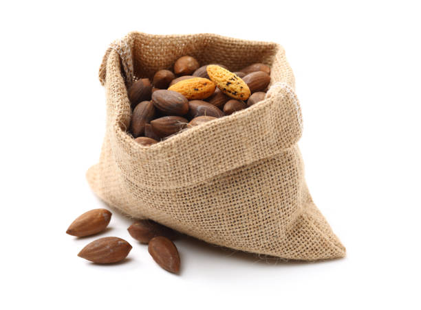 istock Torreya grandis seeds nut 1294121638
