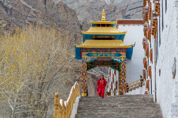 construção tradicional tibetana do mosteiro de hemis em leh, ladakh, jammu e caxemira - tibet monk architecture india - fotografias e filmes do acervo